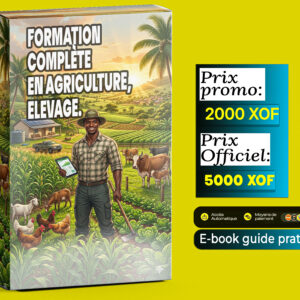 flat rectangle box frontview copie